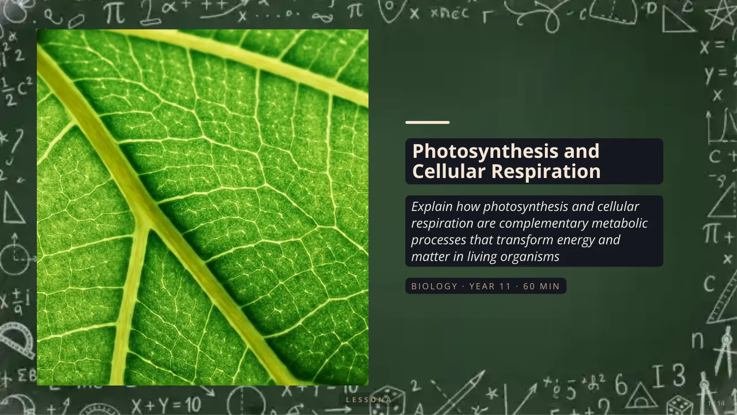 Photosynthesis and Cellular Respiration presentation, Biology · Year 11 · 14 slides
